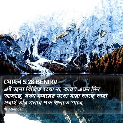 যোহন 5:28 BENIRV Bible Verse Image