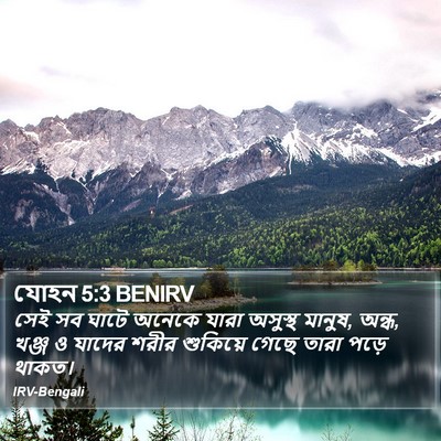 যোহন 5:3 BENIRV Bible Verse Image