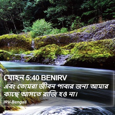 যোহন 5:40 BENIRV Bible Verse Image