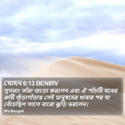 যোহন 6:13 BENIRV Bible Verse Image