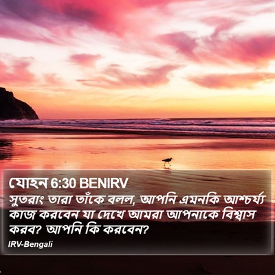 যোহন 6:30 BENIRV Bible Verse Image