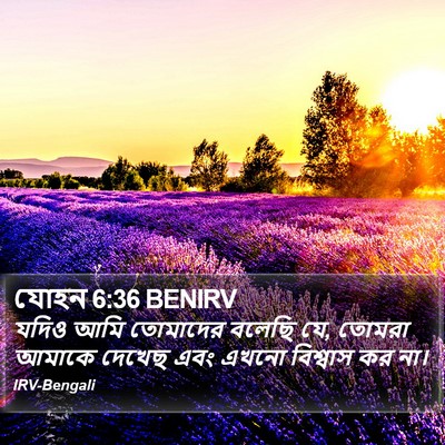 যোহন 6:36 BENIRV Bible Verse Image
