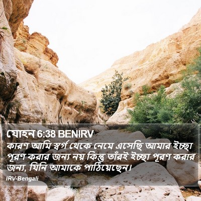 যোহন 6:38 BENIRV Bible Verse Image