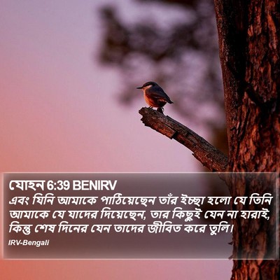 যোহন 6:39 BENIRV Bible Verse Image