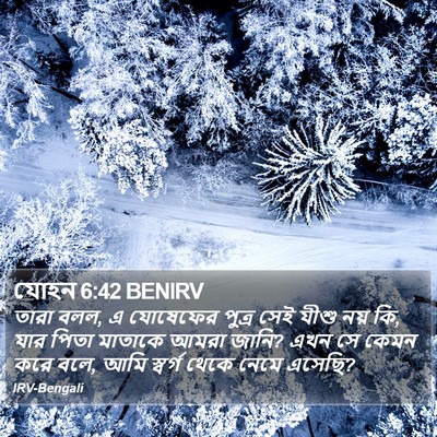 যোহন 6:42 BENIRV Bible Verse Image