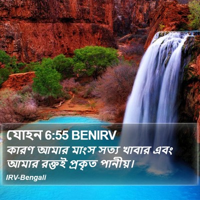 যোহন 6:55 BENIRV Bible Verse Image