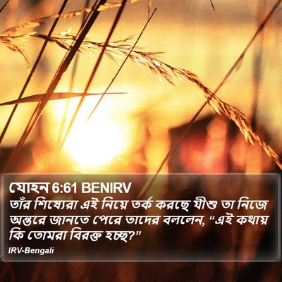 যোহন 6:61 BENIRV Bible Verse Image