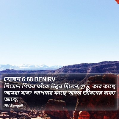 যোহন 6:68 BENIRV Bible Verse Image
