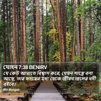 যোহন 7:38 BENIRV Bible Verse Image