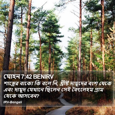 যোহন 7:42 BENIRV Bible Verse Image