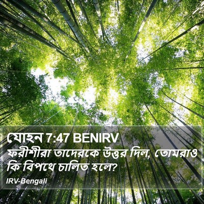 যোহন 7:47 BENIRV Bible Verse Image