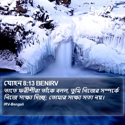 যোহন 8:13 BENIRV Bible Verse Image