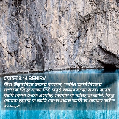 যোহন 8:14 BENIRV Bible Verse Image