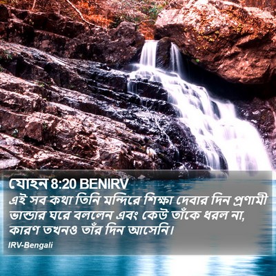 যোহন 8:20 BENIRV Bible Verse Image