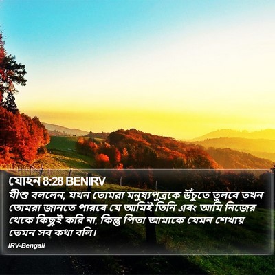 যোহন 8:28 BENIRV Bible Verse Image