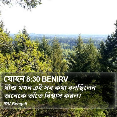 যোহন 8:30 BENIRV Bible Verse Image