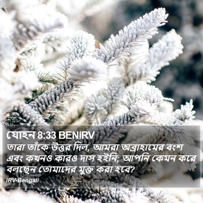 যোহন 8:33 BENIRV Bible Verse Image