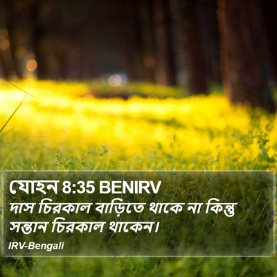 যোহন 8:35 BENIRV Bible Verse Image