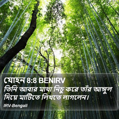 যোহন 8:8 BENIRV Bible Verse Image