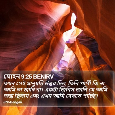 যোহন 9:25 BENIRV Bible Verse Image