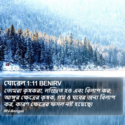 যোৱেল 1:11 BENIRV Bible Verse Image