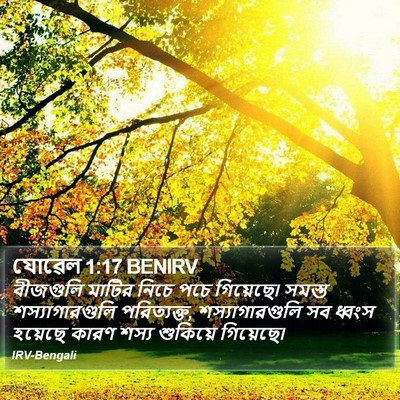 যোৱেল 1:17 BENIRV Bible Verse Image