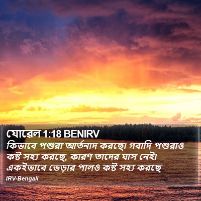 যোৱেল 1:18 BENIRV Bible Verse Image