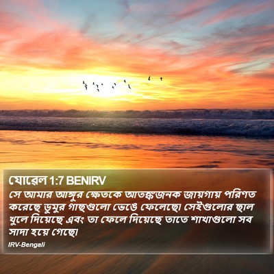 যোৱেল 1:7 BENIRV Bible Verse Image