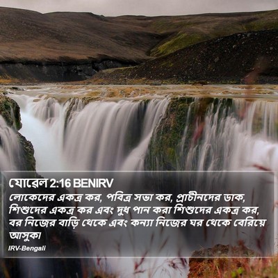 যোৱেল 2:16 BENIRV Bible Verse Image