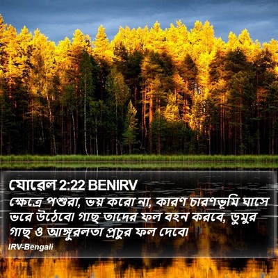 যোৱেল 2:22 BENIRV Bible Verse Image