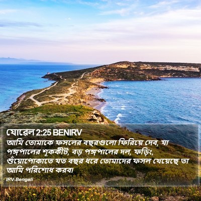 যোৱেল 2:25 BENIRV Bible Verse Image