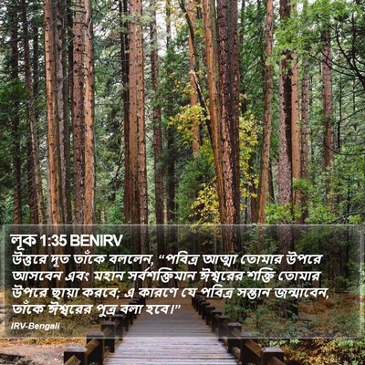 লূক 1:35 BENIRV Bible Verse Image
