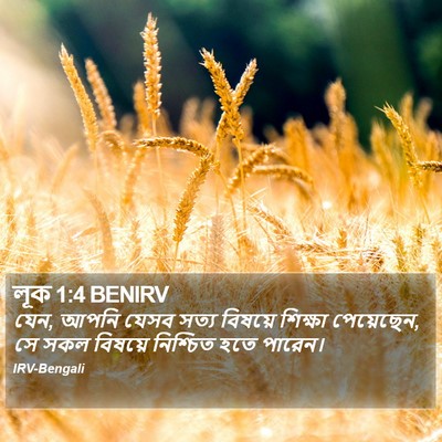 লূক 1:4 BENIRV Bible Verse Image