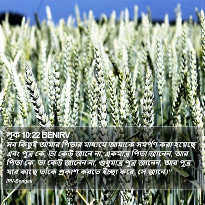 লূক 10:22 BENIRV Bible Verse Image