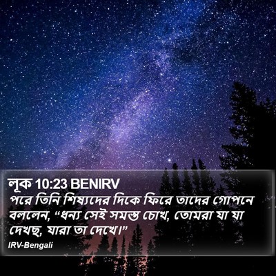 লূক 10:23 BENIRV Bible Verse Image