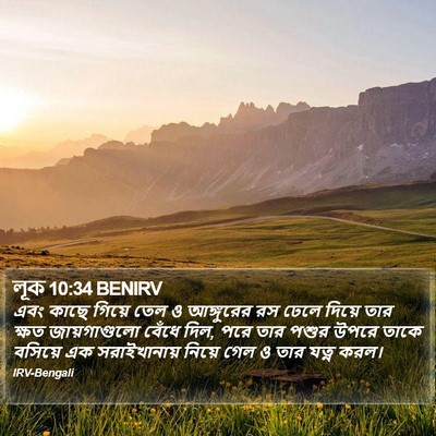 লূক 10:34 BENIRV Bible Verse Image
