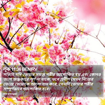 লূক 11:36 BENIRV Bible Verse Image