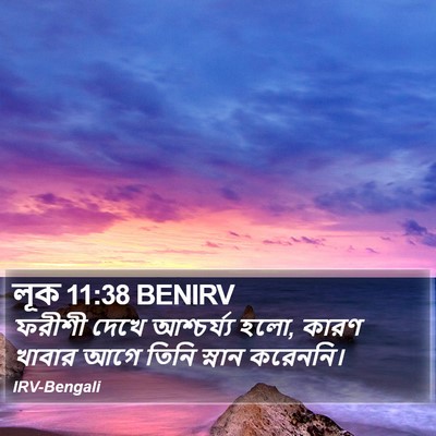 লূক 11:38 BENIRV Bible Verse Image