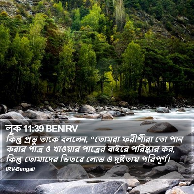 লূক 11:39 BENIRV Bible Verse Image