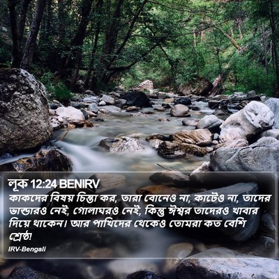 লূক 12:24 BENIRV Bible Verse Image