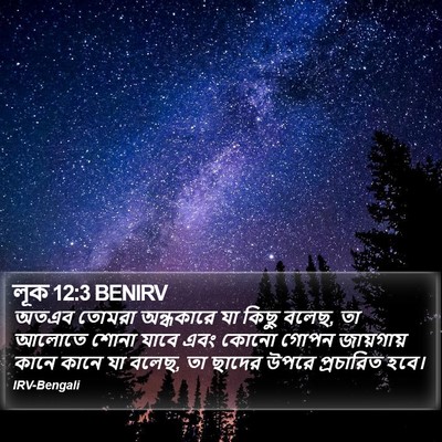লূক 12:3 BENIRV Bible Verse Image