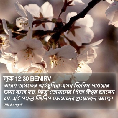 লূক 12:30 BENIRV Bible Verse Image