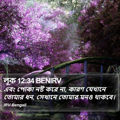 লূক 12:34 BENIRV Bible Verse Image