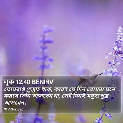 লূক 12:40 BENIRV Bible Verse Image