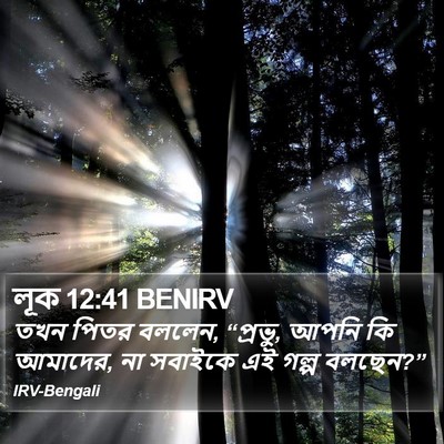 লূক 12:41 BENIRV Bible Verse Image