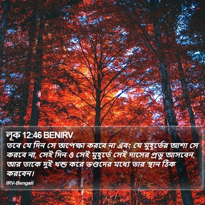 লূক 12:46 BENIRV Bible Verse Image