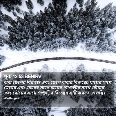 লূক 12:53 BENIRV Bible Verse Image