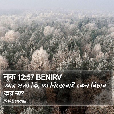লূক 12:57 BENIRV Bible Verse Image