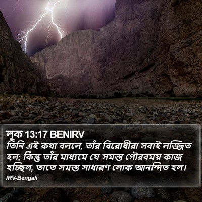 লূক 13:17 BENIRV Bible Verse Image