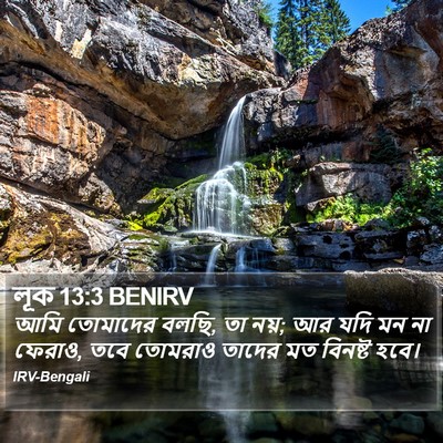 লূক 13:3 BENIRV Bible Verse Image